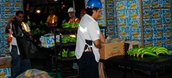 q1